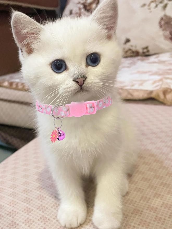 10PC Floral Cat Collar Set with Bells - Breakaway Safety for Kittens and Small Cats (#2)