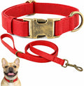 Silicone Dog Collar and Leash Set, Waterproof & Odor-Proof Puppy Collar for Small Dogs, Soft Flexible Leather-Look Dog Collars, Durable Thick Adjustable Pet Collar (Red, Small (9-14" Neck))