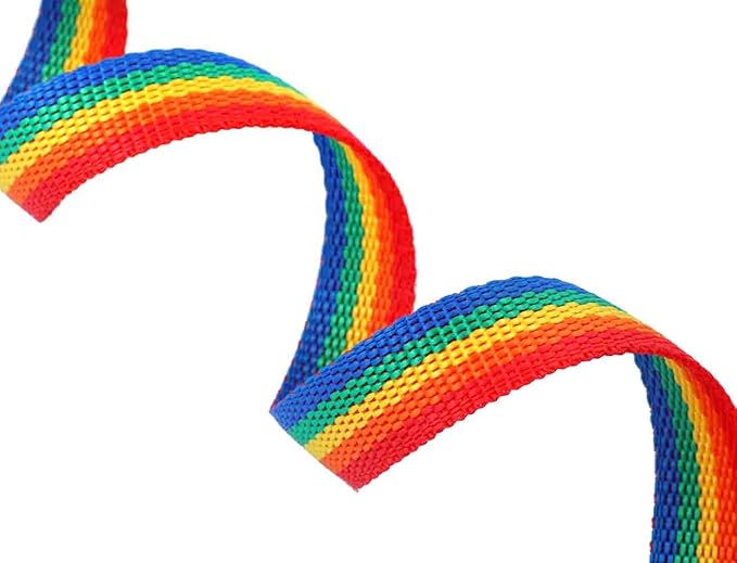 AmaGood Dog/Puppy Obedience Recall Training Agility Lead-15 ft 20 ft 30 ft 50 ft Long Leash-for Dog Training,Recall,Play,Safety,Camping (50feet, Rainbow)