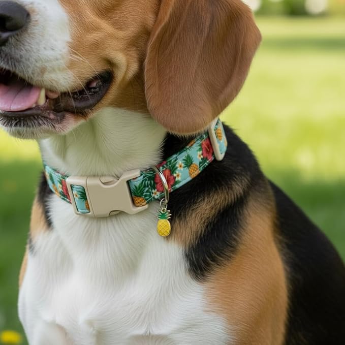 Summer Dog Collar with Tropical Pattern, Cute Dog Collar for Girl Boy Dogs, Pet Collar with Unique Print and Soft Fabric, Suitable for Small Dogs