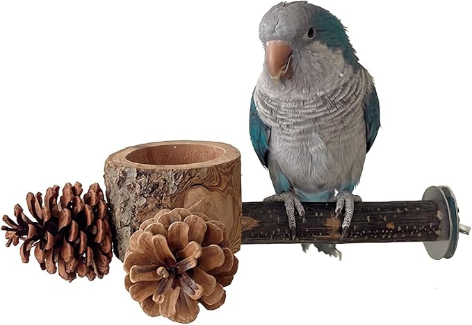 Bird Perch with Feeder for Cage & Chew Toys Pinecones - Bird Cage Accessories 100% Natural & Durable for Cockatiel, Conure, Budgie, Lovebird, Parakeet - Parrot Food Treats Bowl for Foraging