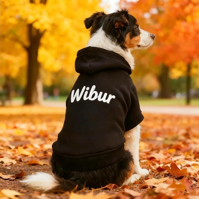 GODMERCH Custom Name Embroidered Dog Hoodie, Embroidery Dog Sweaters for Small Dogs, Pet Clothes, Pet Mom Lovers Gifts