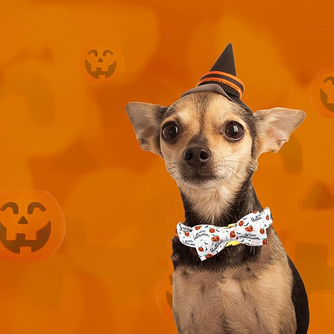 Halloween Dog Collar, Pet Collar Bow Pumpkin Pet Collar Girl Boy Bow Dog Collars Cute Soft Puppy Collar for X-Large Dogs