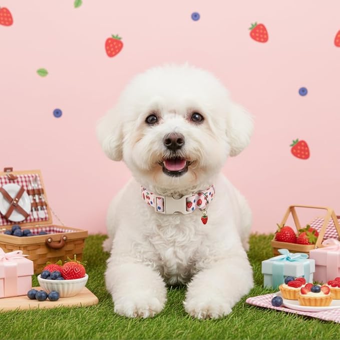 Pink Dog Collar, Girl Dog Collar for Small Dogs, Spring Summer Puppy Collar with Cute Strawberry, Cherry and Blueberry Print, Soft Adjustable Collars for Girls Boys Dogs, S