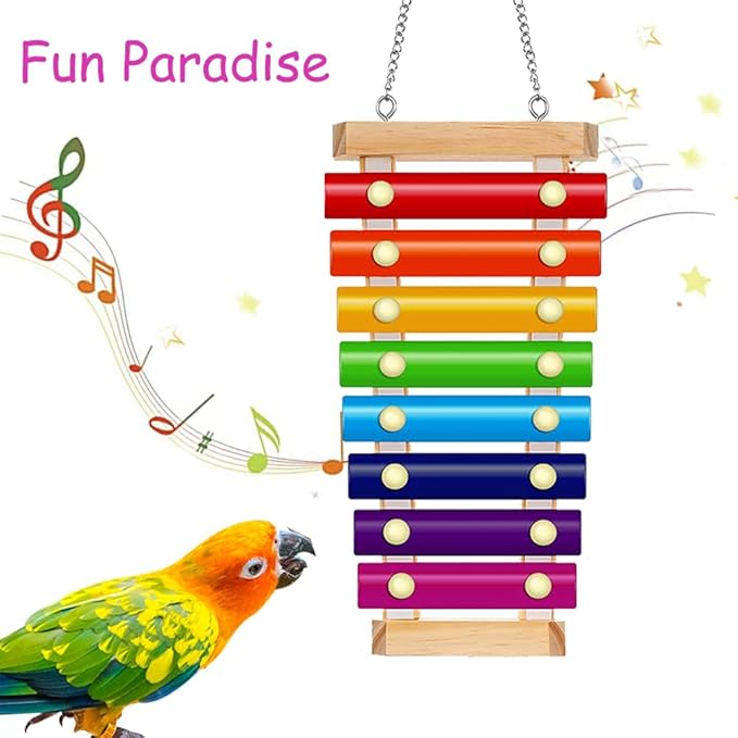 Bird Xylophone with Mirror & Bell Accessories - Musical Training Toy for Conure, Budgie, Cockatiel, Cockatoo, Parakeet, Finch (Bird Xylophone with Mirror)