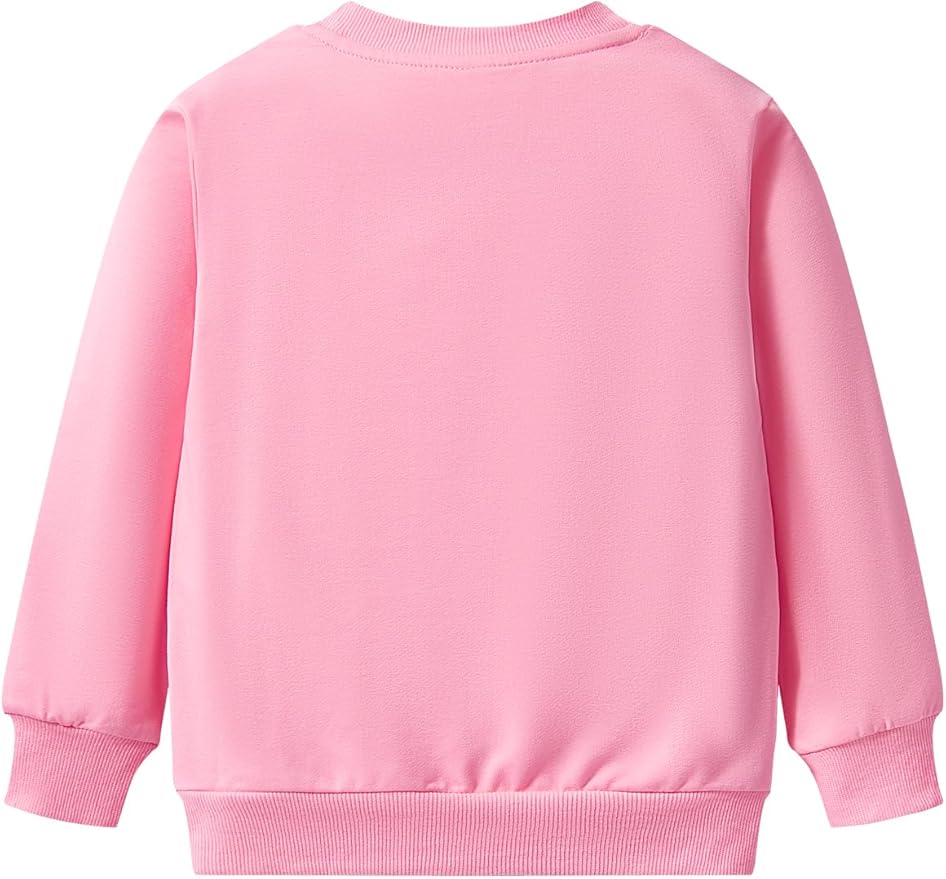 Toddler Baby Girls Cotton Sweater, Long Sleeve Crewneck Sweatshirt Pullover Kids Warm Clothing for Fall Winter