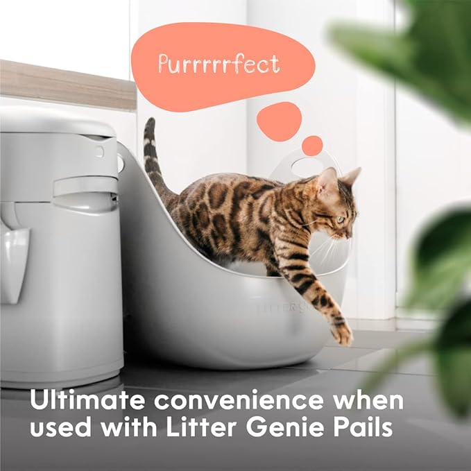 Litter Genie Cat Litter Box | Portable, Open, High Sided Cat Litter Box with Handles | Flexible Plastic Litter Box | Comfortable, Easy-Clean Cat Box
