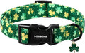 DOGWONG St Patrick's Day Dog Collar-Cute Green Clovers Dog Collars, Adjustable Shamrock Pet Collars Trefoil Puppy Collars with Quick Release Buckle for Girl&Boy Dogs,S
