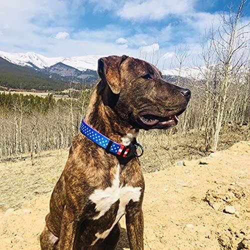 Native Pup American Flag Dog Collar- Red White and Blue- Patriotic Collars for 4th of July, USA- Adjustable Small, Medium, Large Breed Dogs (Medium, Flag I)