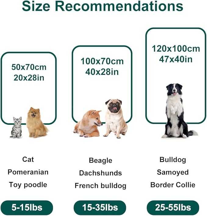 Onarway Dog Blanket Washable for Puppy: 4 Packs Dog Blankets 40”x28” - Fluffy Soft Small Throw for Cat Puppy Kitten Dogs - Fleece Pet Blankets for Bed Sofa Car and Indoor - Light Grey