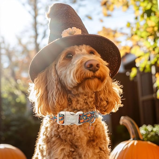 Fall Dog Collar Cute Autumn Pumpkin Puppy Collar - Light Comfortable Adjustable Pet Collars for Small Medium Large Girl Boy Dogs XL