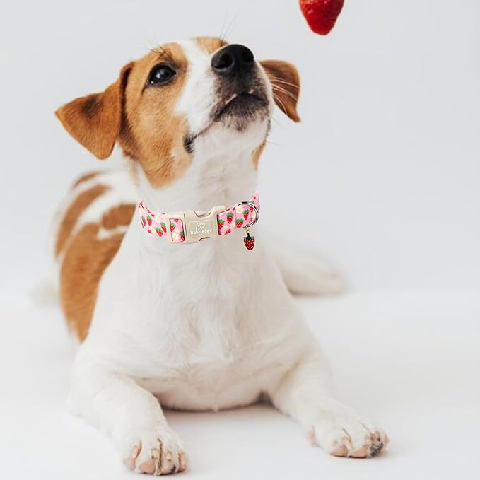 Cute Spring/Summer Dog Collar, Adjustable Pink Strawberry Dog Collars for Giant Large Dogs, Lightweight Quick-Release Buckle Collar for Boy&Girl Dogs XL