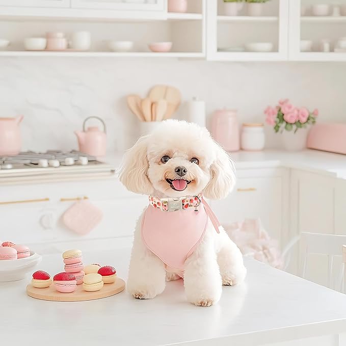 Strawberry Dog Collar for Large Dogs - Cute Spring Pink Dog Collars, Summer Pastel Puppy Collars, Soft Adjustable Boy Girl Dogs Collar with Quick-Release Buckle XL