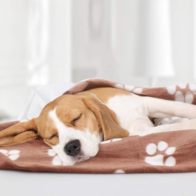 Comsmart Dog Blankets for Small Dogs, 6 Pack Puppy Blanket Cute Paw Print Pet Blanket for Dog, Puppy, Cat, Kitten, 39x31 inches, Brown