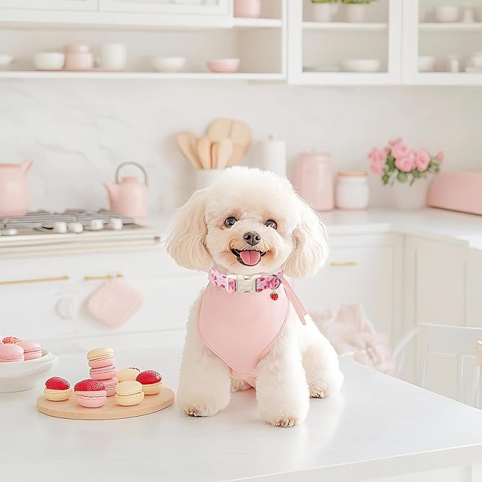 Strawberry Bow Dog Collar for Large Dogs - Cute Pink Spring/Summer Girl Dog Collars, Lightweight Adjustable Female Girly Dogs Collars with Quick Release Buckle L