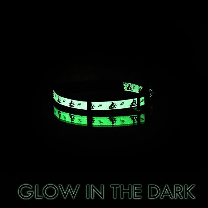 Pawtitas Glow in The Dark Cat Collar with Breakaway Safety Buckle & Bell Adjustable Kitten Collar, Purple