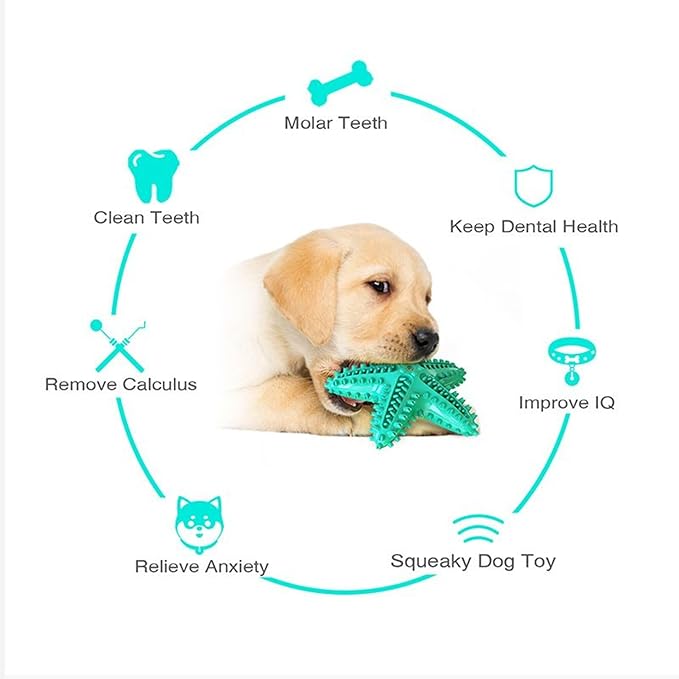 Chew Toy for Dog Toothbrush Stick Dog Toys for Aggressive Chewers Interactive Toys Treats Tough Toy to Keep Them Busy Chew Toys for Small Dogs (Star Toy - Blue)