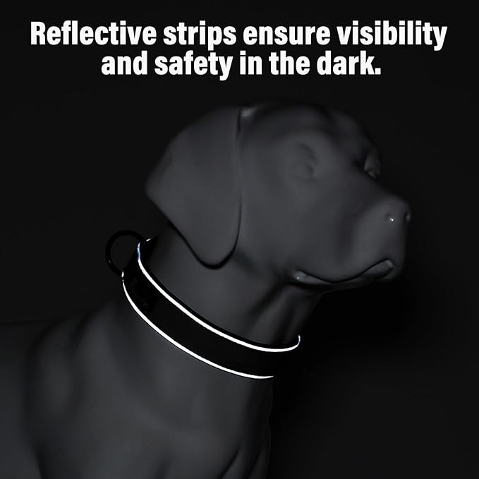 Plutus Pet Tactical Dog Collar, Reflective, Adjustable Heavy Duty Dog Collar, Soft Padded and Comfortable, for Small Medium and Large Dogs (Cyan, XL)