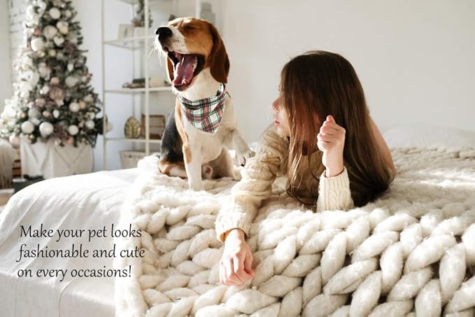 ARING PET Christmas Dog Bandanas, Red Green White Plaid Kerchief Triangle Bibs Scarf for Puppy Small Medium Large Boy Girl Dogs Cats-S