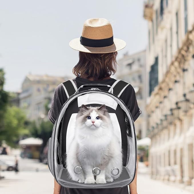 Pet Backpack Carrier,Bubble Backpack Cat Carrier,Pets and Small Dogs,Space Capsule Pet Carrier for Traveling, Walking, Hiking and Outdoor Activities (Black)
