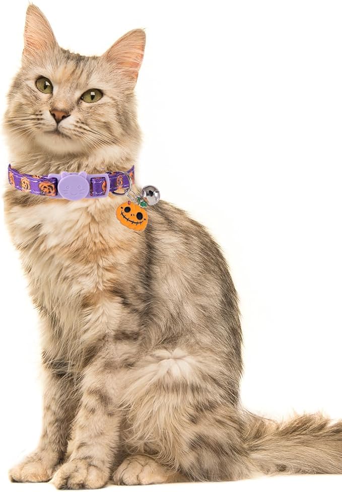 3 Pack Halloween Cat Collar with Bell Pendant Breakaway Adjustable Accessory Holiday for Kitten Kitty