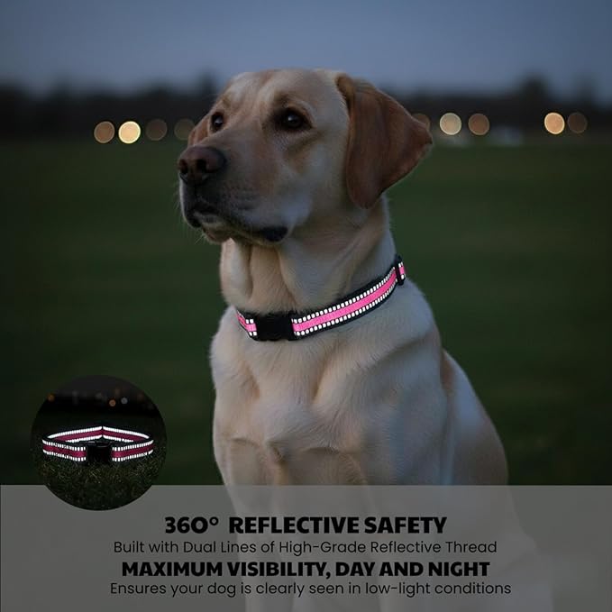 Dog Training Collar Replacement and Shock Collar Strap - 3/4 Inch Wide Adjustable Nylon Band with Reflective Replacement Strap for E Collar and Bark Collar (Pink)