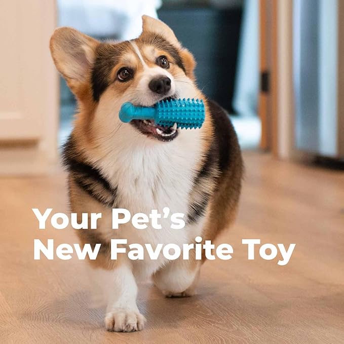 Oxyfresh Dog Dental Chew Toy - Best Dog Teeth Cleaning Toy – A Simple Bite and Brush Toy That Helps Remove Plaque, Cleans Teeth & Freshens Breath Without Brushing - Small