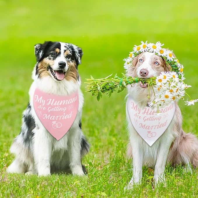 SZEE Bridal Shower Gifts for Bride, 2 Pack My Humans are Getting Married Dog Bandanas, Wedding or Engagement Gift for Couples, Dog Wedding Bandanas, Engagement Party Decorations (Pink & White, XL)
