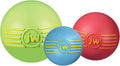 JW iSqueak Ball Durable Natural Rubber Dog Toy (Assorted Colors)