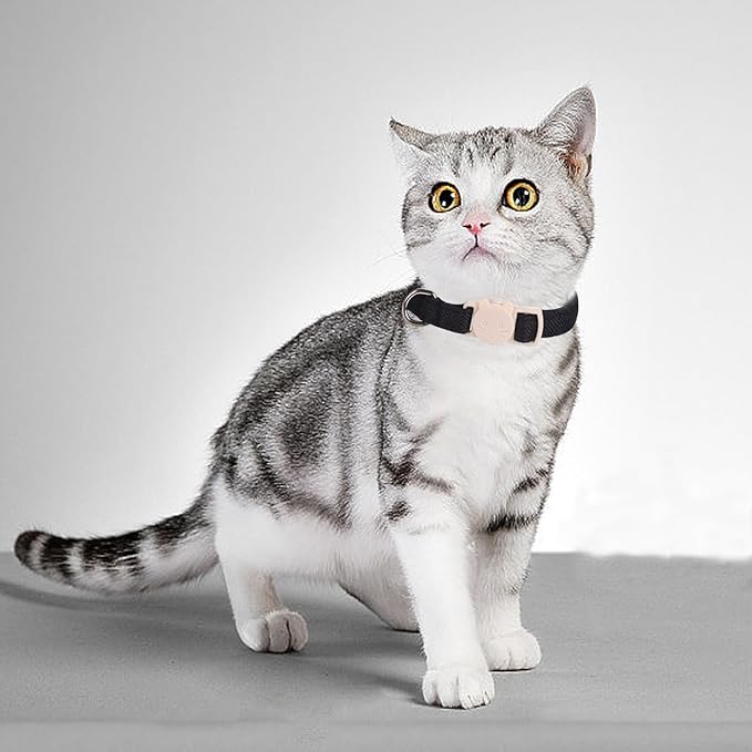 Cat Collar-2 Pack Cat Collar Black and White Linnet with Kitten and Bell Pendant Safety Buckle Adjustable Pet Collar Suitable for Cats Gift to Cats and Small Pets
