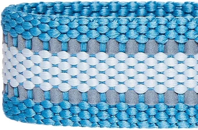 Blueberry Pet Essentials Reflective Dog Collar for Medium Dogs | Adjustable Nylon Collar in Sky Blue | Classic Solid Color Matching Medium Dog Collar