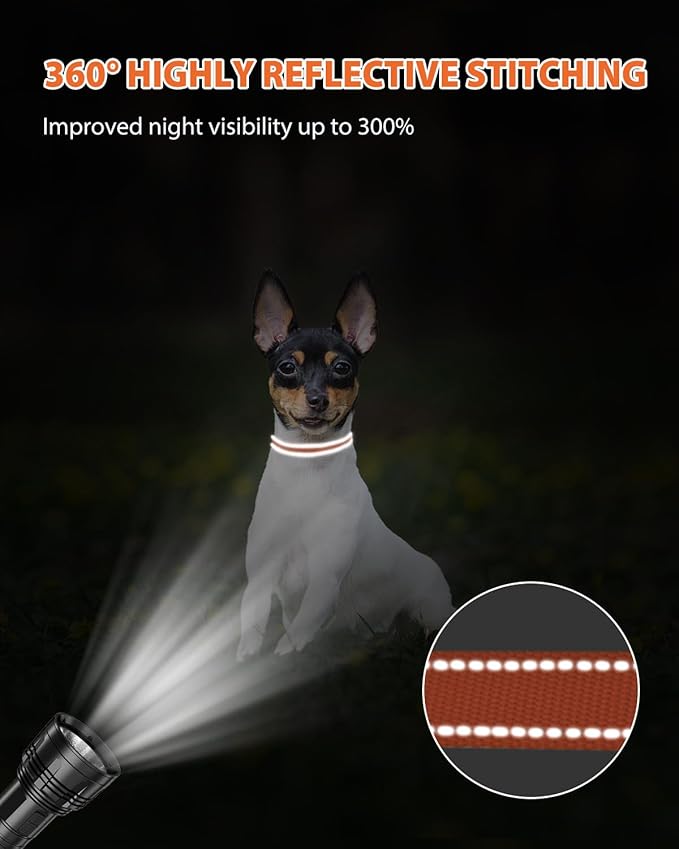 Joytale Small Dog Collar, Reflective and Adjustable Nylon Collar with Quick-Release Buckle, Lightweight No-Choke Design for Puppy and Extra Small Dogs, Orange, XS