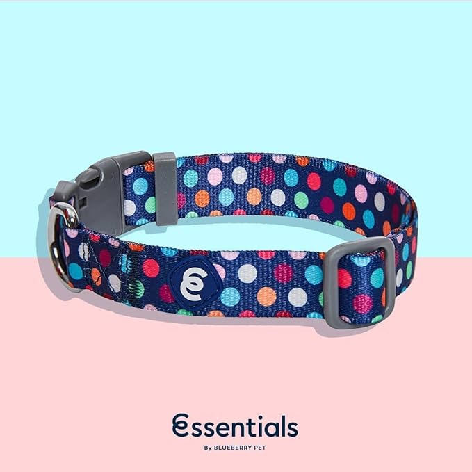 Blueberry Pet Essentials Rainbow Polka Dots Adjustable Dog Collar, Small, Neck 12"-16"