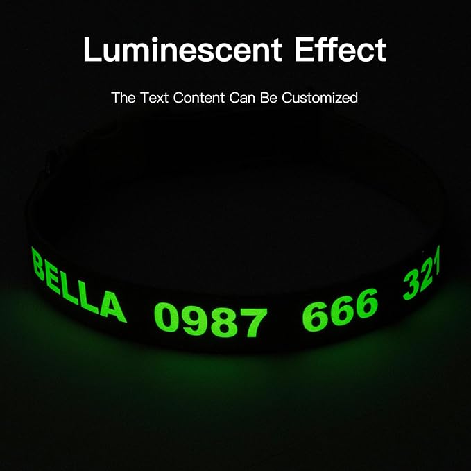 DOG WORLD Custom Fluorescent Dog Collar - Personalized Luminous Name & Phone Number for Night Safety, Fashionable & Easy-to-Use Pet Accessory, Ideal for Night Walks
