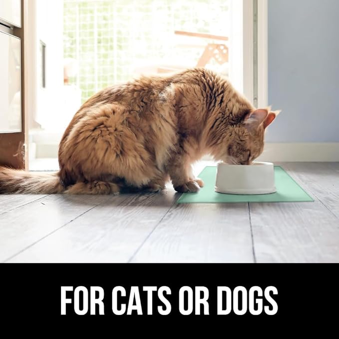 GORILLA GRIP 100% Waterproof Raised Edge BPA Free Silicone Pet Feeding Mat, Dog Cat Food Mats Contain Spills Protects Floors, Placemats for Cats and Dogs Water Bowl, Pets Accessories 16x10, Mint