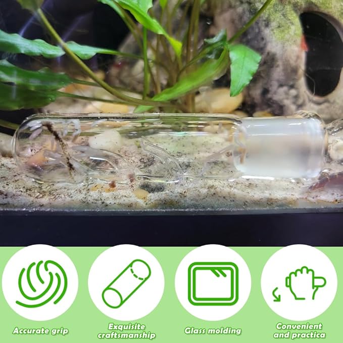 2 Pack Clear Glass Planaria Trap Catch Trap Aquarium Cleaning Supply for Dwarf Shrimp Cherry Shrimp (3 Holes)