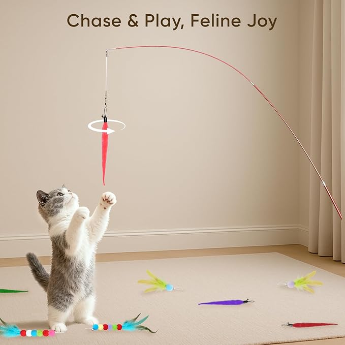 Cat Toys for Indoor Cats, 13 Packs Interactive Cat Wand Toy Set with Feather Toys & Teasers, Fun Cat Toys for Exercise, Playtime and Boredom Relief