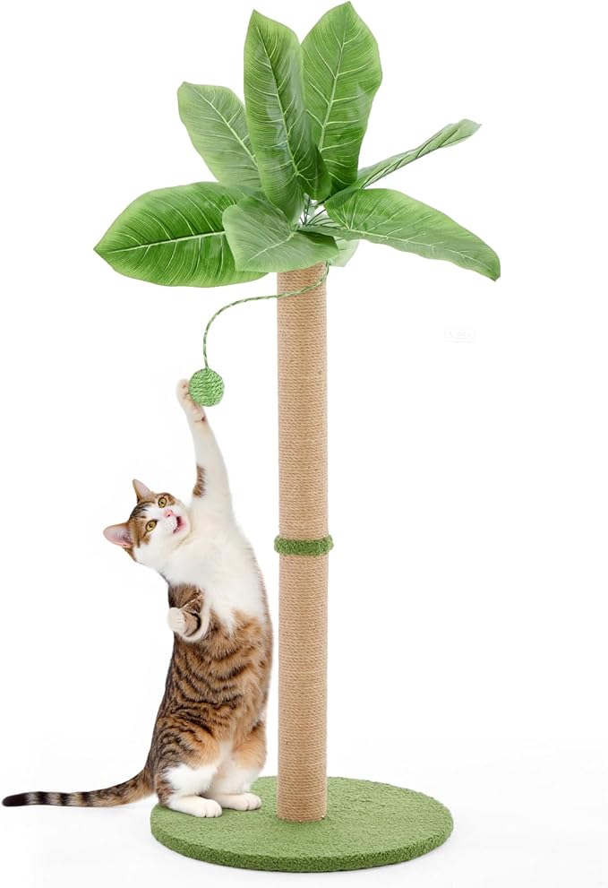 Cat Scratching Post 33 Inch, Cat Tree with Dangling Ball for Indoor Cats and Kittens, Green