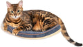 Cat Wall Shelves for Cat Wall Steps, Perch, Ladder, Wooden Floating Modern Mounted Space Saving Furniture with Scratching Cushion Removal Cover for Climbing, Jumping and Sleeping (Perch)