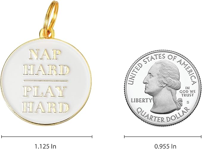 Two Tails Pet Company Personalized 'Nap Hard, Play Hard' Pet ID Tag & Collar Charm - Custom Engraved Dog Tags for Pets - Luxury Brass, Gold Plating
