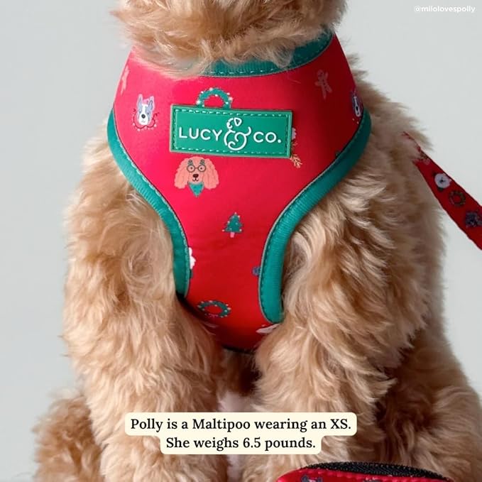 Lucy & Co. Cute Reversible Dog Harness Walking Halter - Best Designer Pet Harnesses for XS - XL Dogs - Padded Adjustable Vest for Easy Walking- Happy Howlidays - Seasonal - Medium