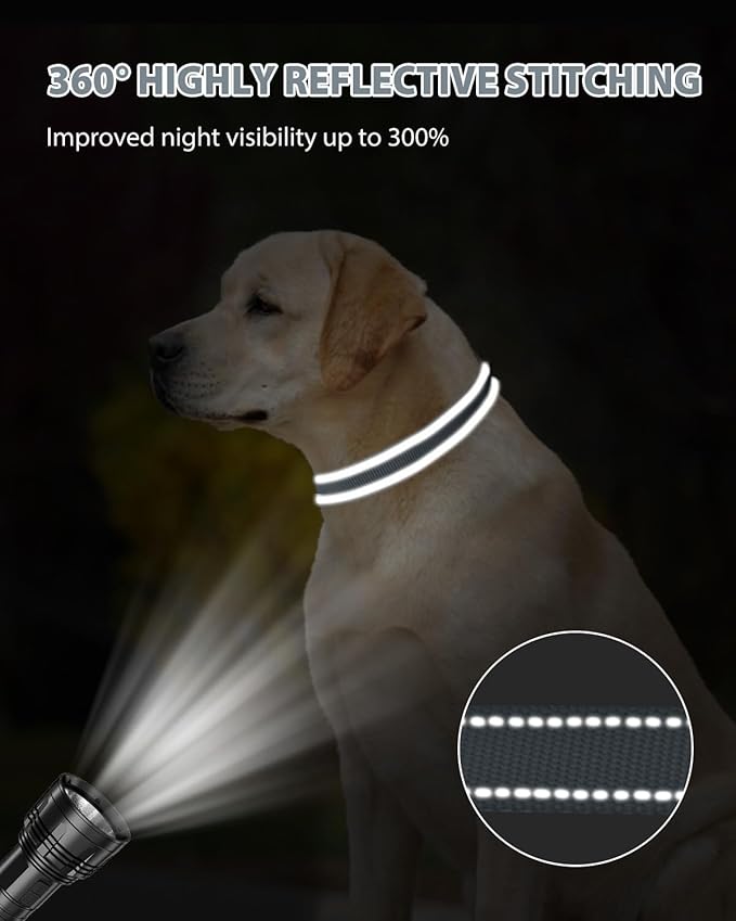 Joytale Reflective Dog Collar, Adjustable Nylon Pet Collar with Quick-Release Buckle for Medium Dogs, Gray, M