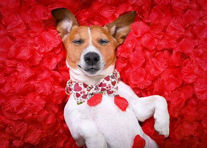 Lionheart glory Heart Dog Collar, Adjustable Dog Collar with Bowtie, Pet Gift Collar for Dog Soft Bowtie Dog Collars for Medium Dogs