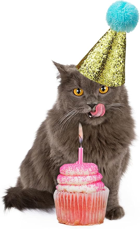 4 Pcs Cat Birthday Hat Bowtie Small Dog Hat Headband Topper Bowtie Adjustable Cute Puppy Birthday Costume Accessories for Small Medium Pets (2/LB-RB)