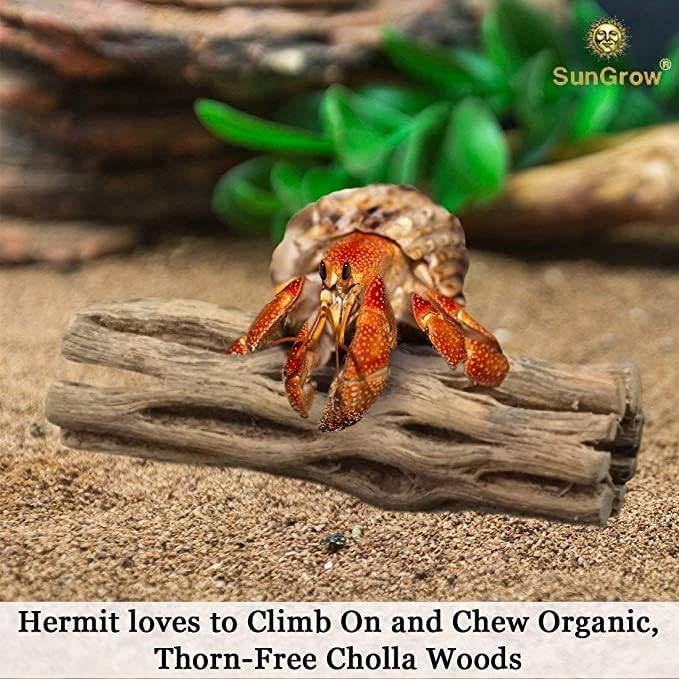 SunGrow Hermit Crab Woods, Climbing Logs, Chews, Keep Hermies Busy and Active, Long Dried Aquarium Décor Adds Raw Beauty (6 Pieces, 6 inches)