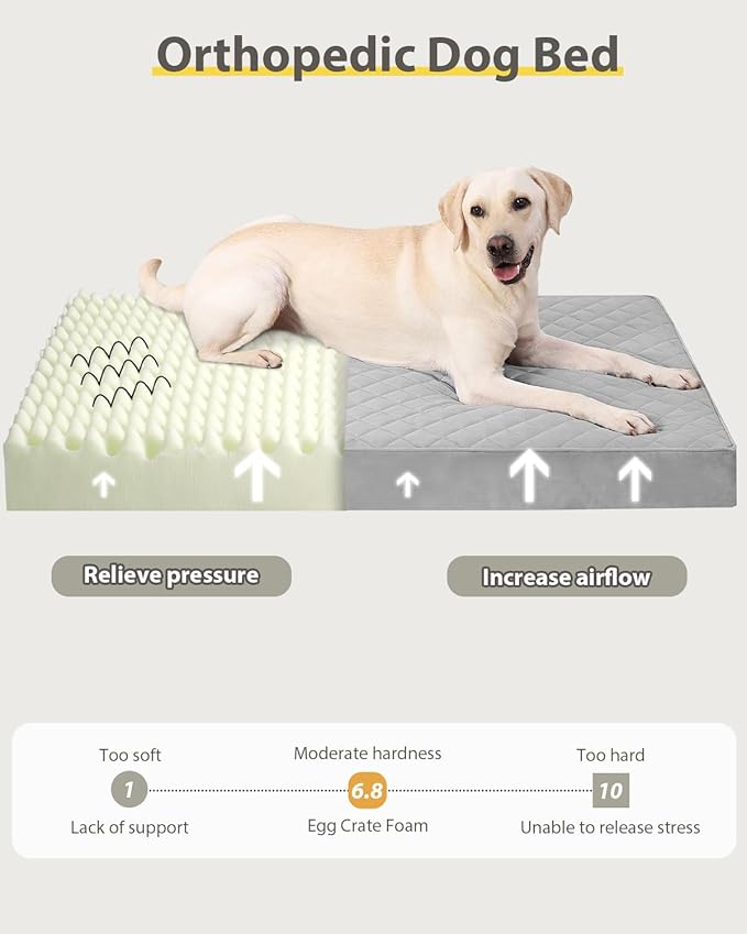 Jumbo Dog Bed for Extra Large Sized Dog Orthopedic Pet Bed with Removable Washable Cover and Non-Slip Bottom, 53x36 Inch, Light Gray