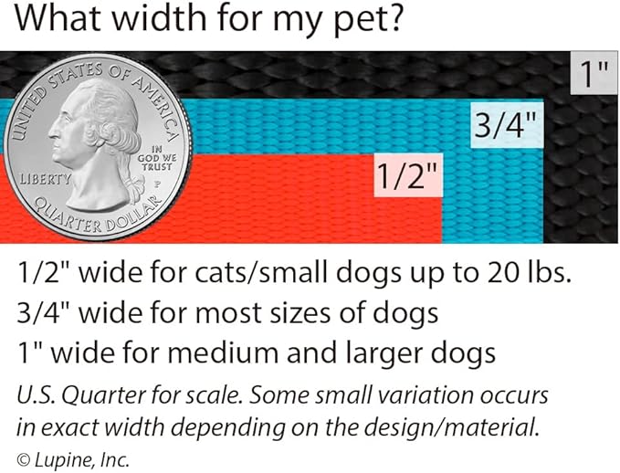 LupinePet Originals 1" Jelly Roll 12-20" Adjustable Collar for Medium and Larger Dogs