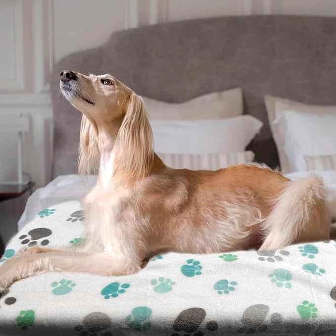 Dog Blankets for Medium Large Dogs Washable, 3 Pack Pet Blanket Washable 41" x 31", Fuzzy Soft Puppy Throw Cover for Kennel Crate Bed