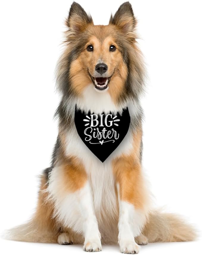 Big Sister Bandana for Dog, Pet Pregnancy Announcement, Black Dog Bandana, Big Sister Dogs Shirt, Pet Bandana for Small Medium Dogs (M)