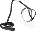 PetSafe Come With Me Kitty Cat Harness & Bungee Leash - Comfortable Cat Harness with Lightweight Bungee Leash for Outdoor Fun - More Secure Walks - Medium - Black